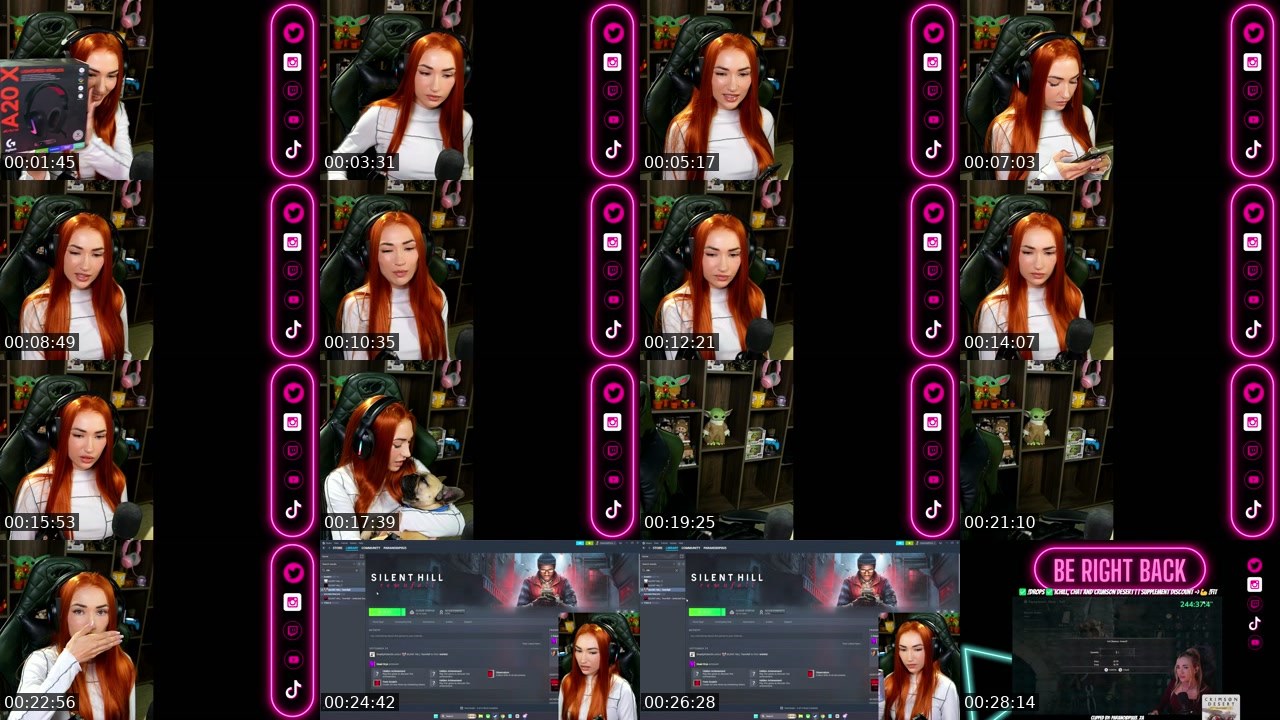Contact-sheet preview of ParanoidPixi3_ZA's Twitch recording