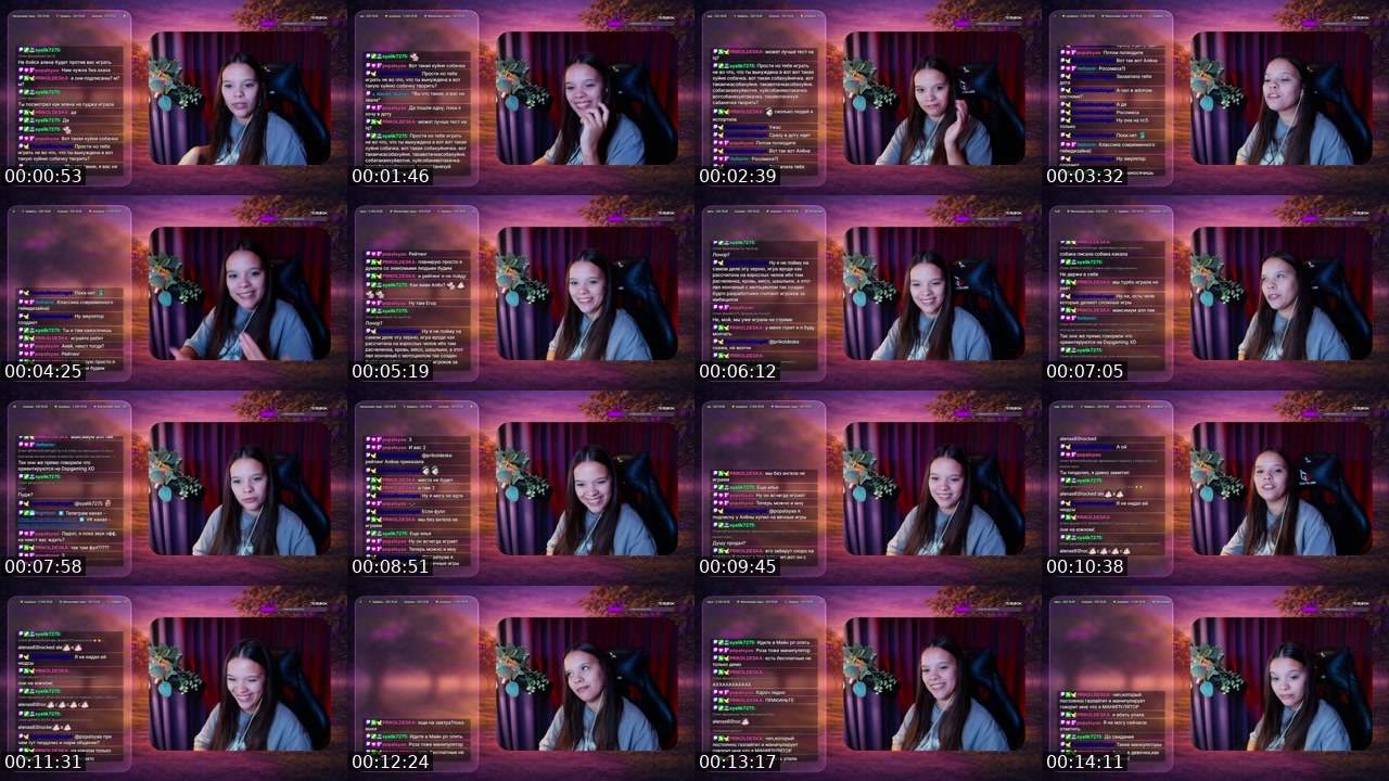 Contact-sheet preview of alena_slivka's Twitch recording