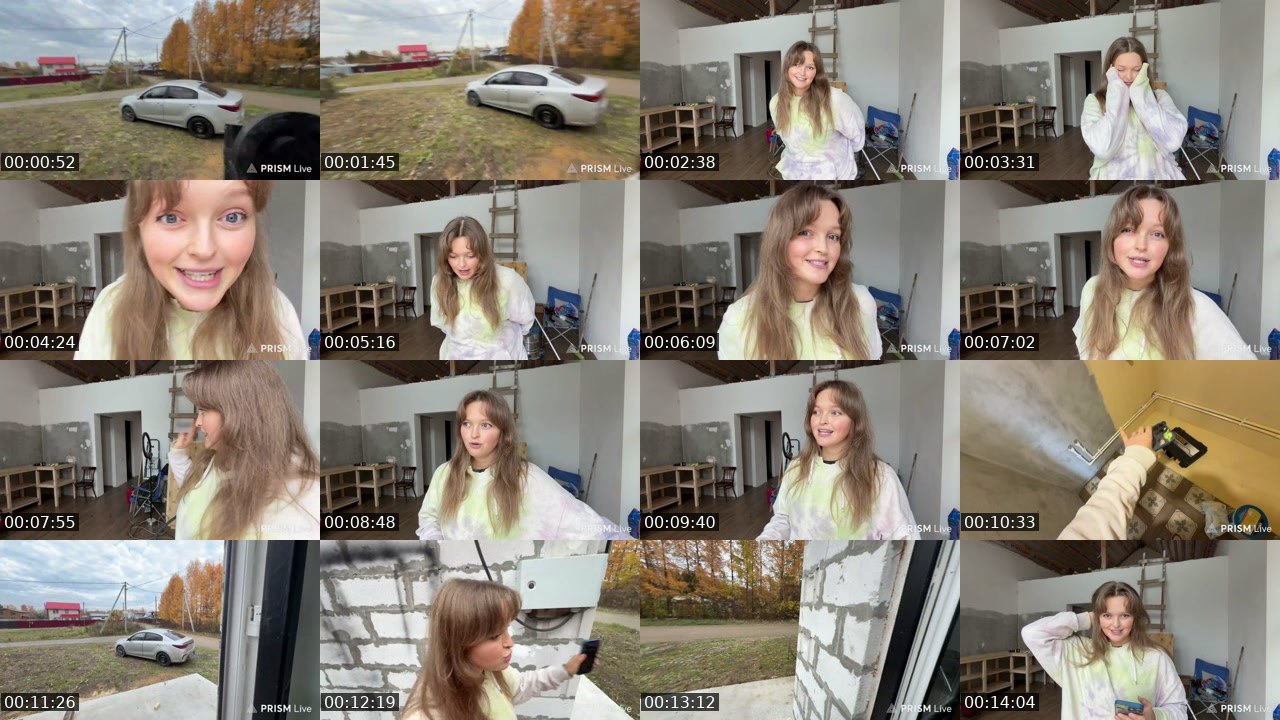 Contact-sheet preview of kris_grizliks's Twitch recording