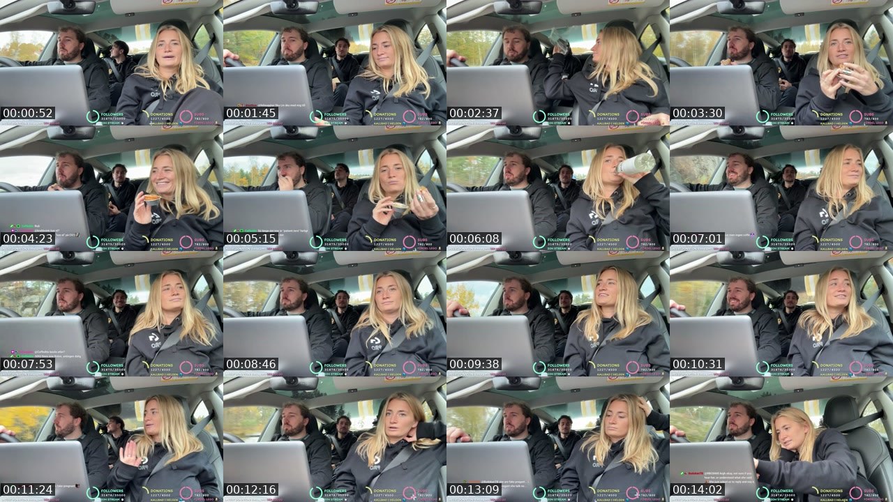 Contact-sheet preview of SWE_Beforewefall's Twitch recording