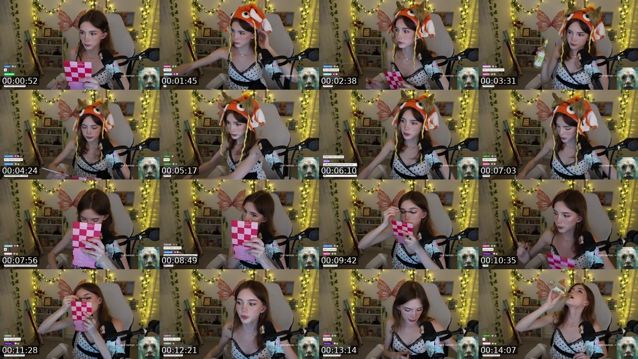 Contact-sheet preview of hollsbeauti's Twitch recording
