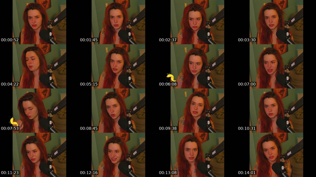 Contact-sheet preview of eels4reals's Twitch recording