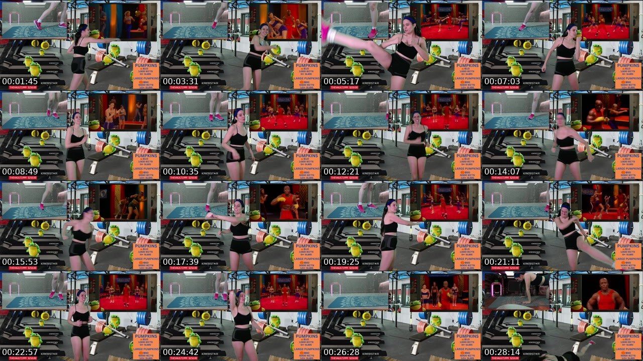 Contact-sheet preview of somagreen's Twitch recording