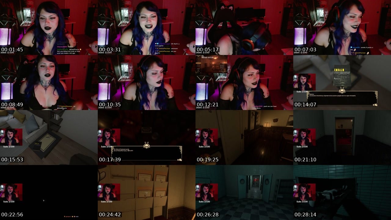 Contact-sheet preview of voidkittyx's Twitch recording