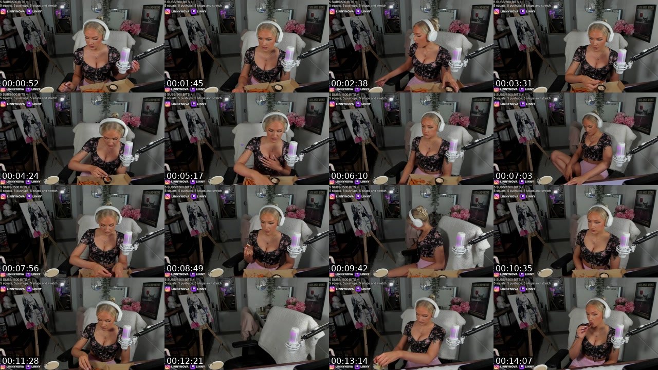 Contact-sheet preview of Linny's Twitch recording