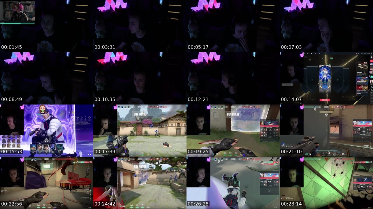 Contact-sheet preview of Rineksalol's Twitch recording