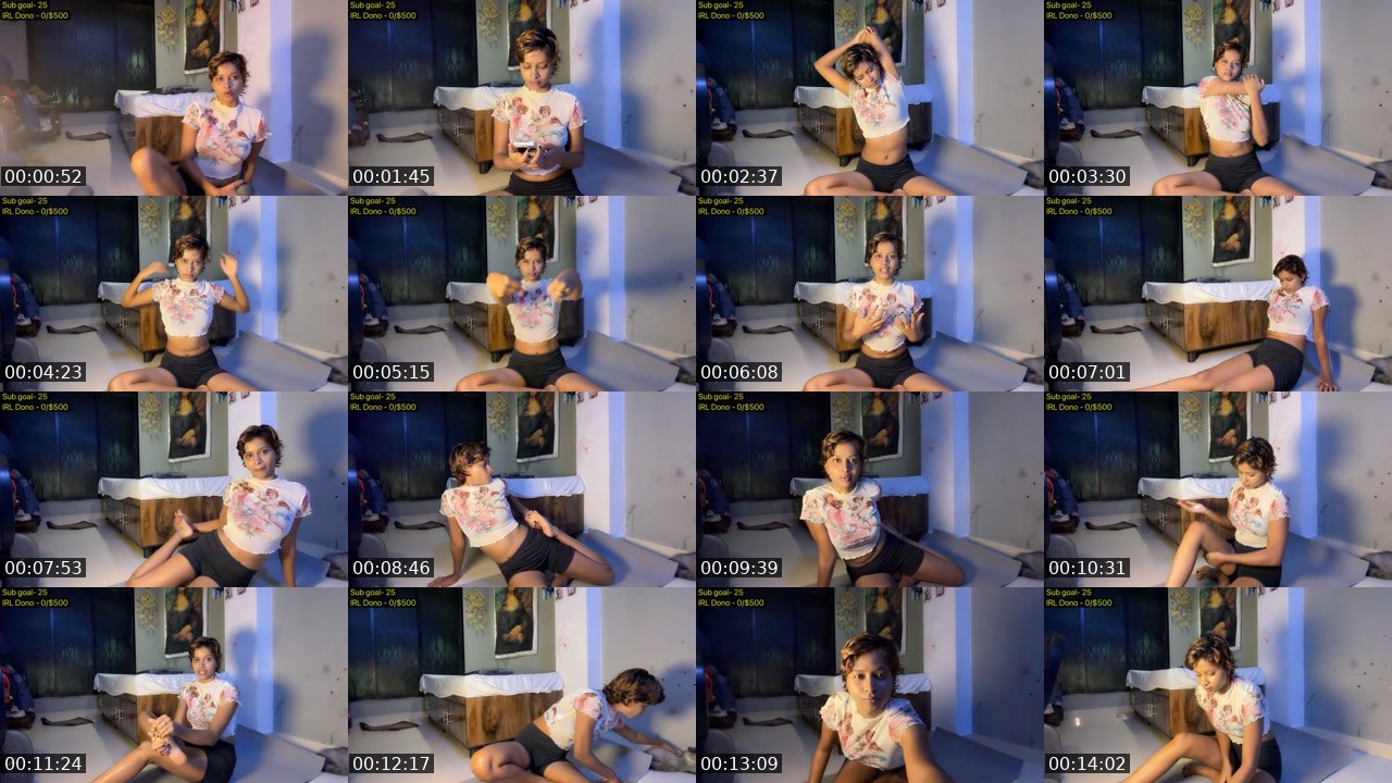 Contact-sheet preview of shaviwoo's Twitch recording