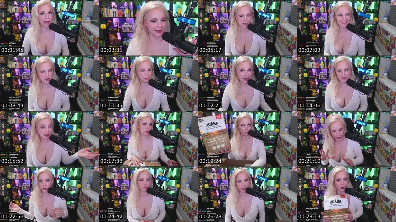 Contact-sheet preview of Hot_Ann_Streamy's Twitch recording