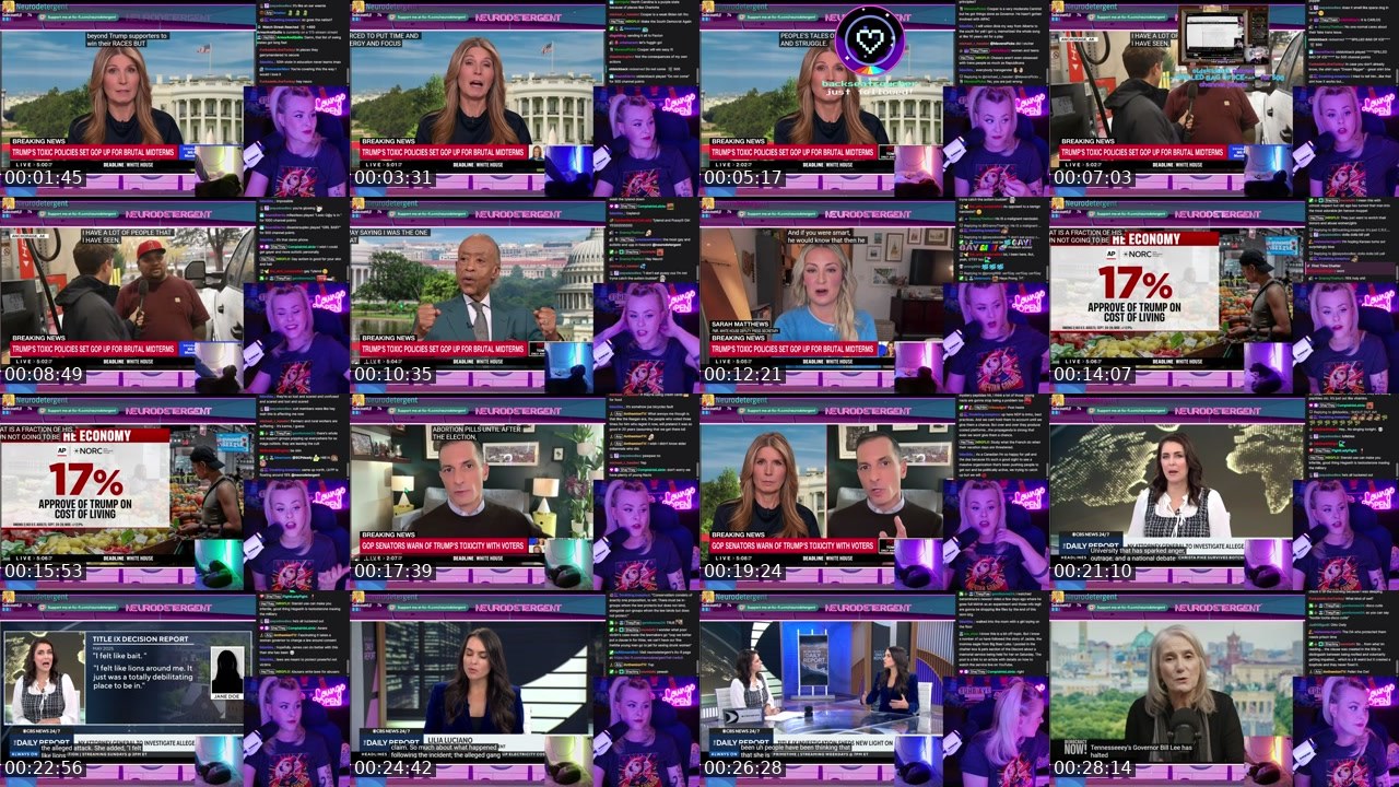 Contact-sheet preview of neurodetergent's Twitch recording