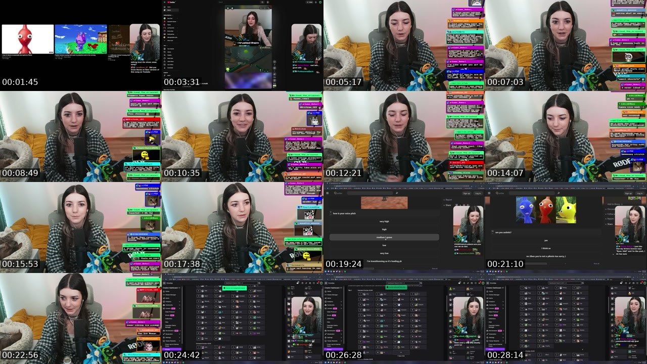 Contact-sheet preview of sincerelyLyn's Twitch recording