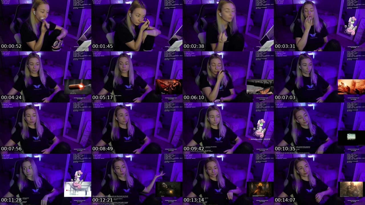 Contact-sheet preview of LEOPARTONE's Twitch recording