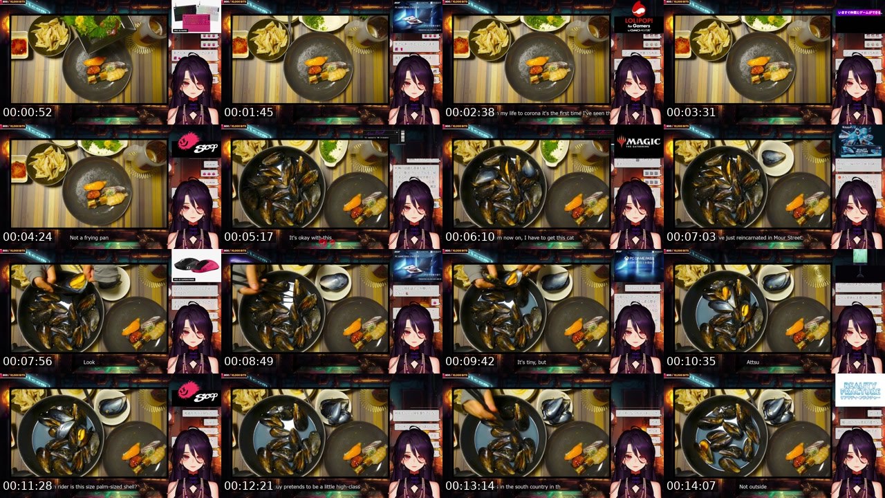 Contact-sheet preview of BiGNiCO_NiCO's Twitch recording