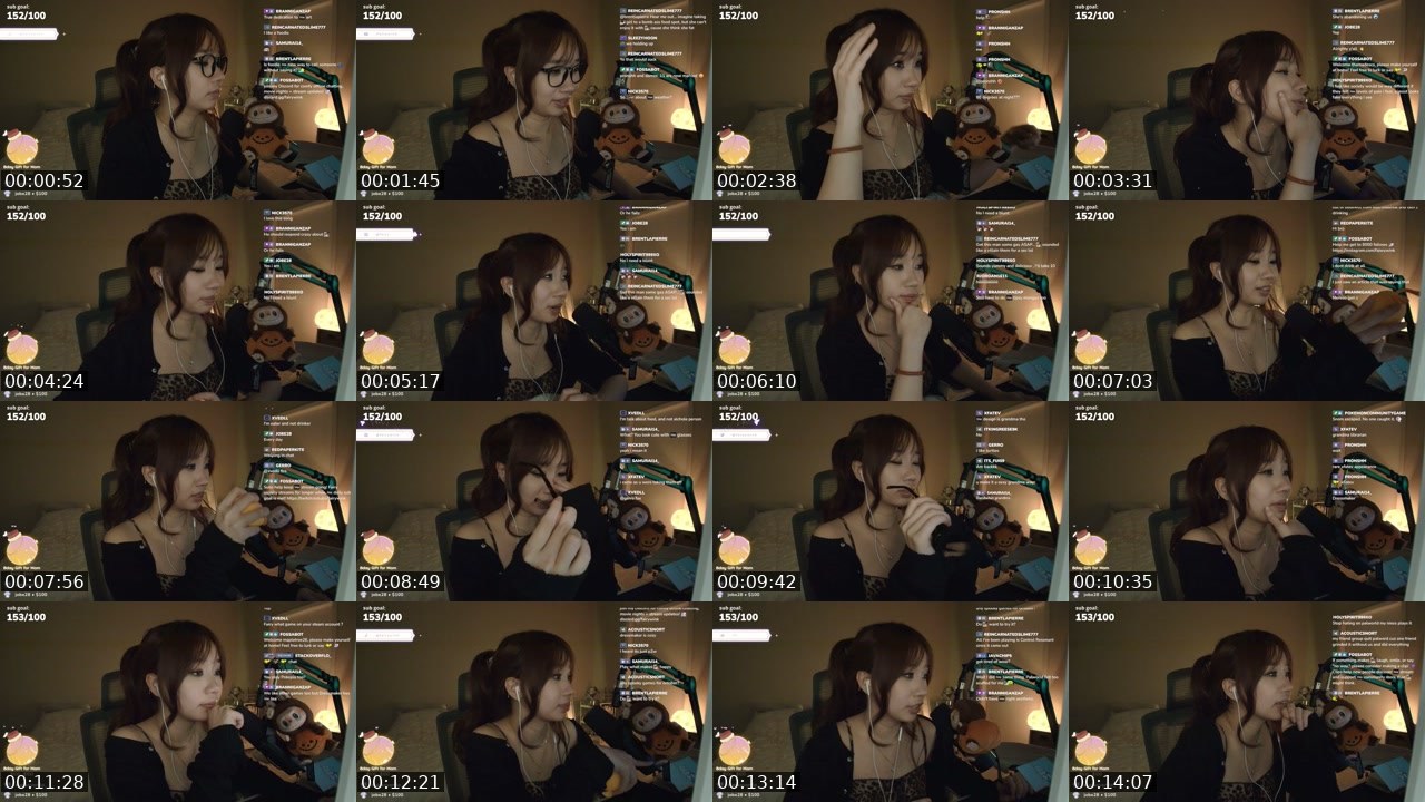 Contact-sheet preview of fairywink's Twitch recording
