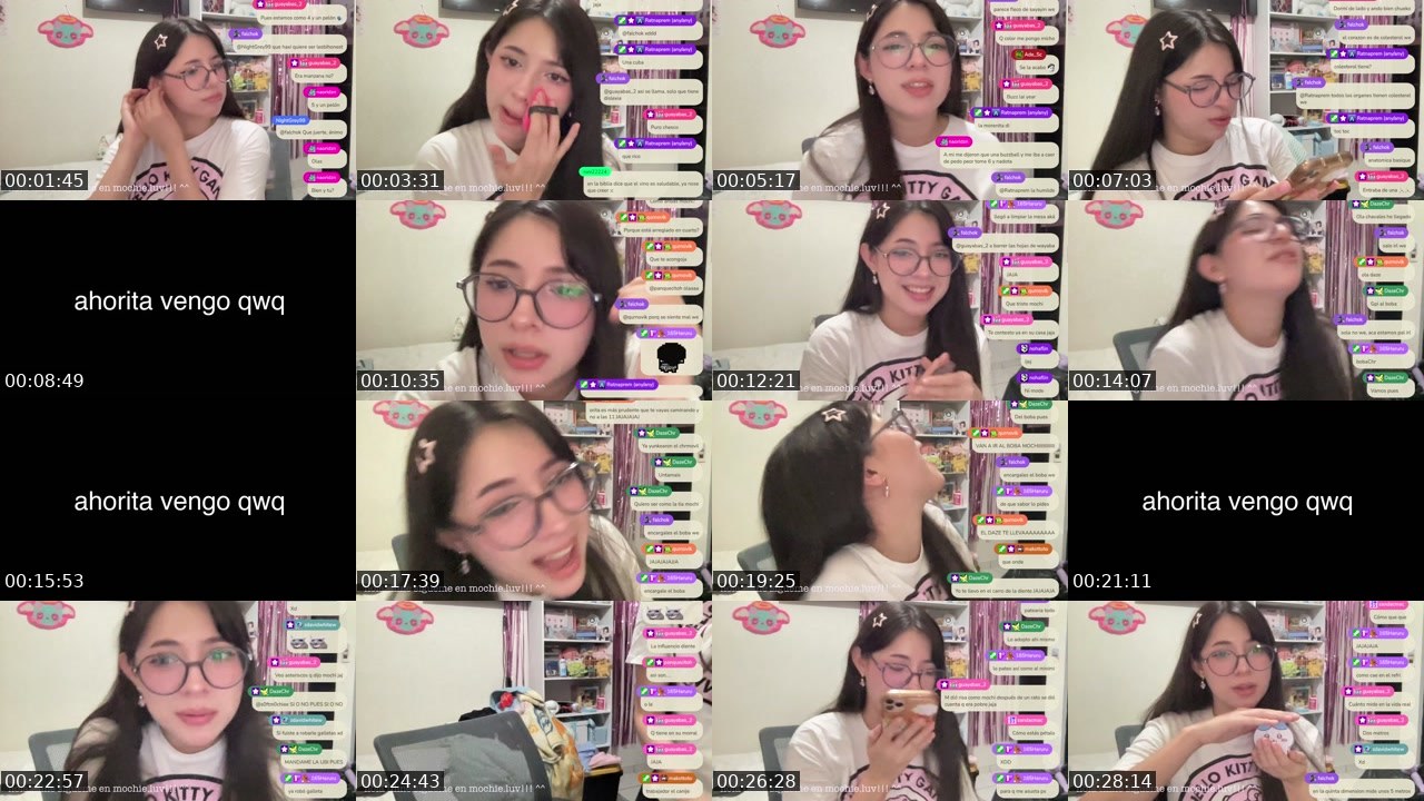Contact-sheet preview of s0ftm0chiee's Twitch recording
