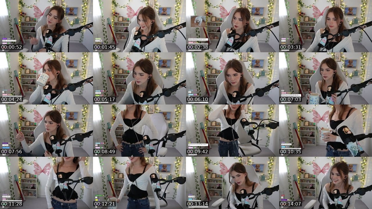 Contact-sheet preview of hollsbeauti's Twitch recording
