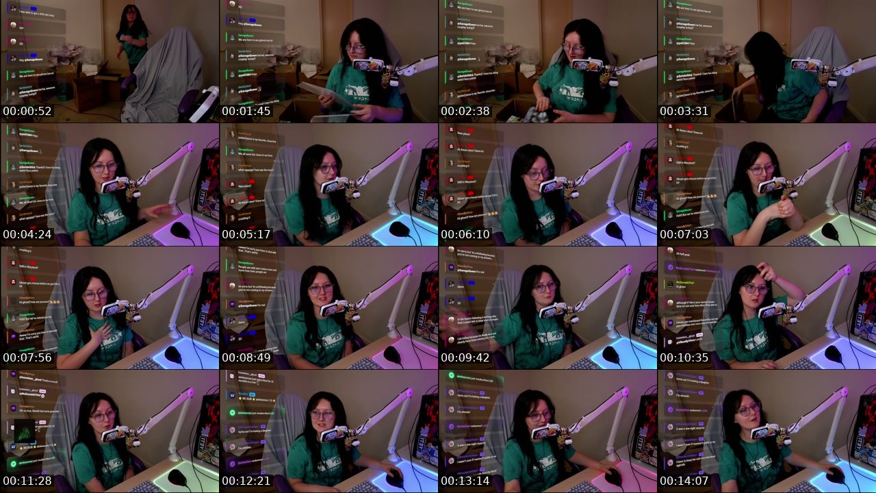 Contact-sheet preview of homeless__ghost's Twitch recording