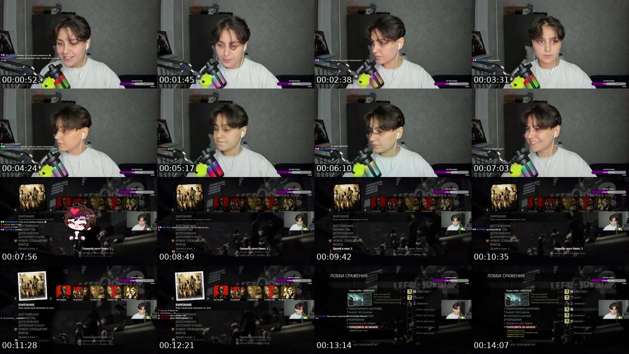 Contact-sheet preview of LiNN24's Twitch recording