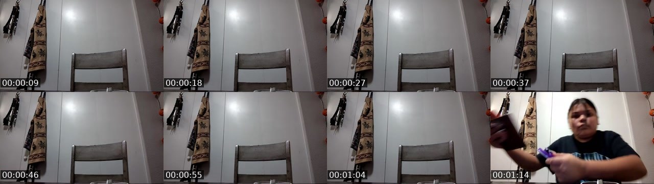 Contact-sheet preview of g59lillianna's Twitch recording