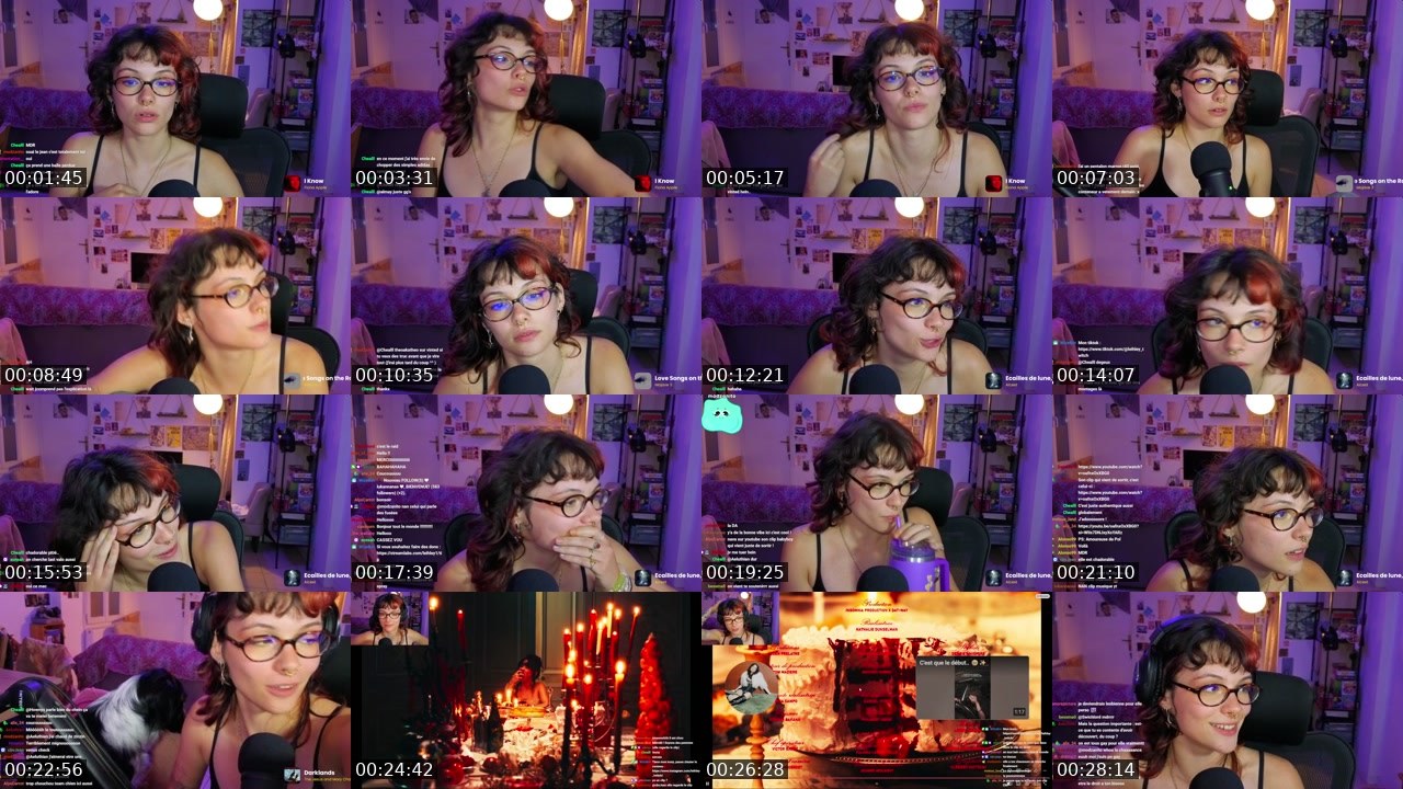 Contact-sheet preview of leihley's Twitch recording