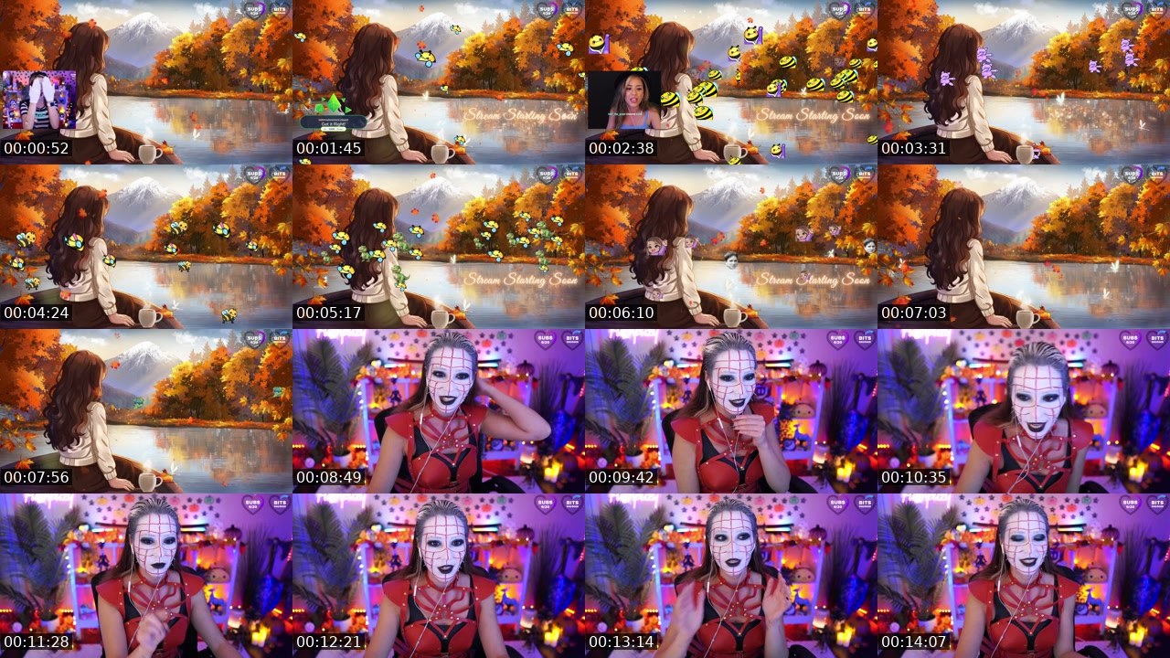 Contact-sheet preview of Fuzhpuzy's Twitch recording