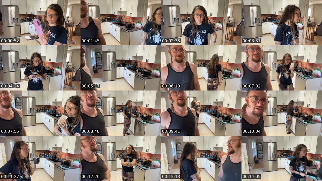 Contact-sheet preview of AlyssaWilds's Twitch recording