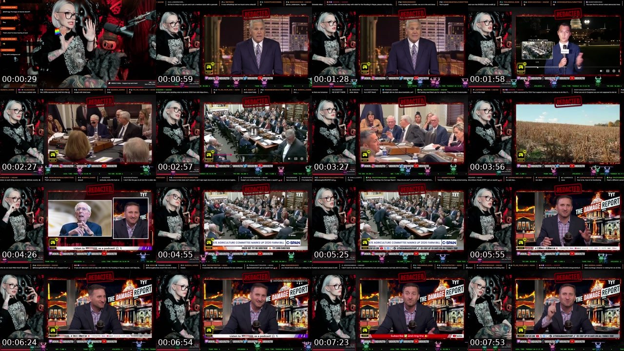 Contact-sheet preview of sadgirl's Twitch recording