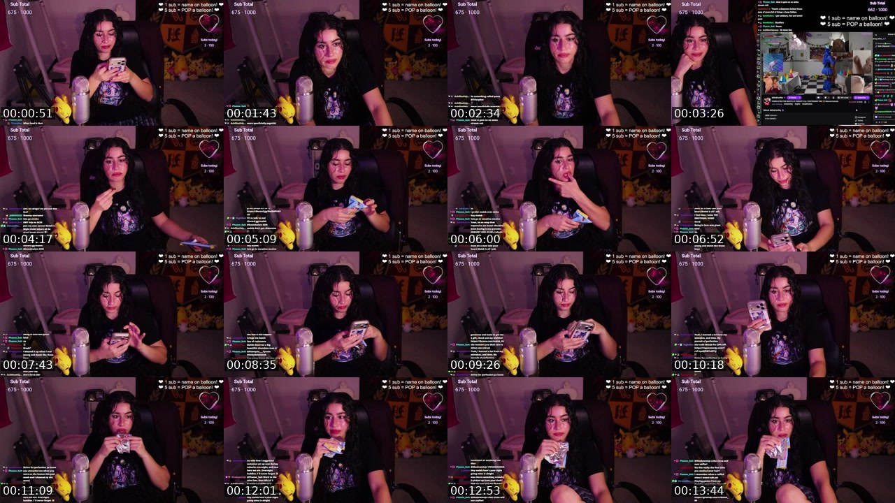 Contact-sheet preview of Malek_04's Twitch recording