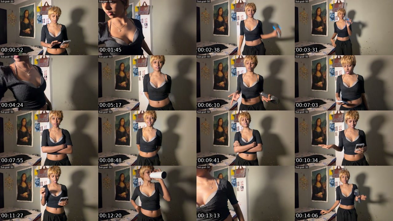 Contact-sheet preview of shaviwoo's Twitch recording