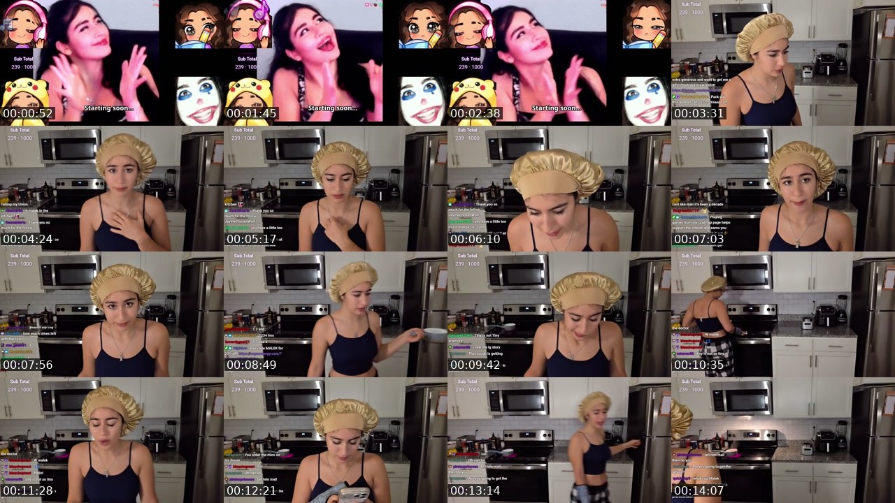 Contact-sheet preview of Malek_04's Twitch recording