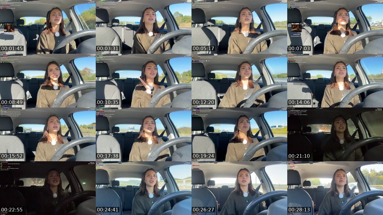 Contact-sheet preview of schiddii's Twitch recording