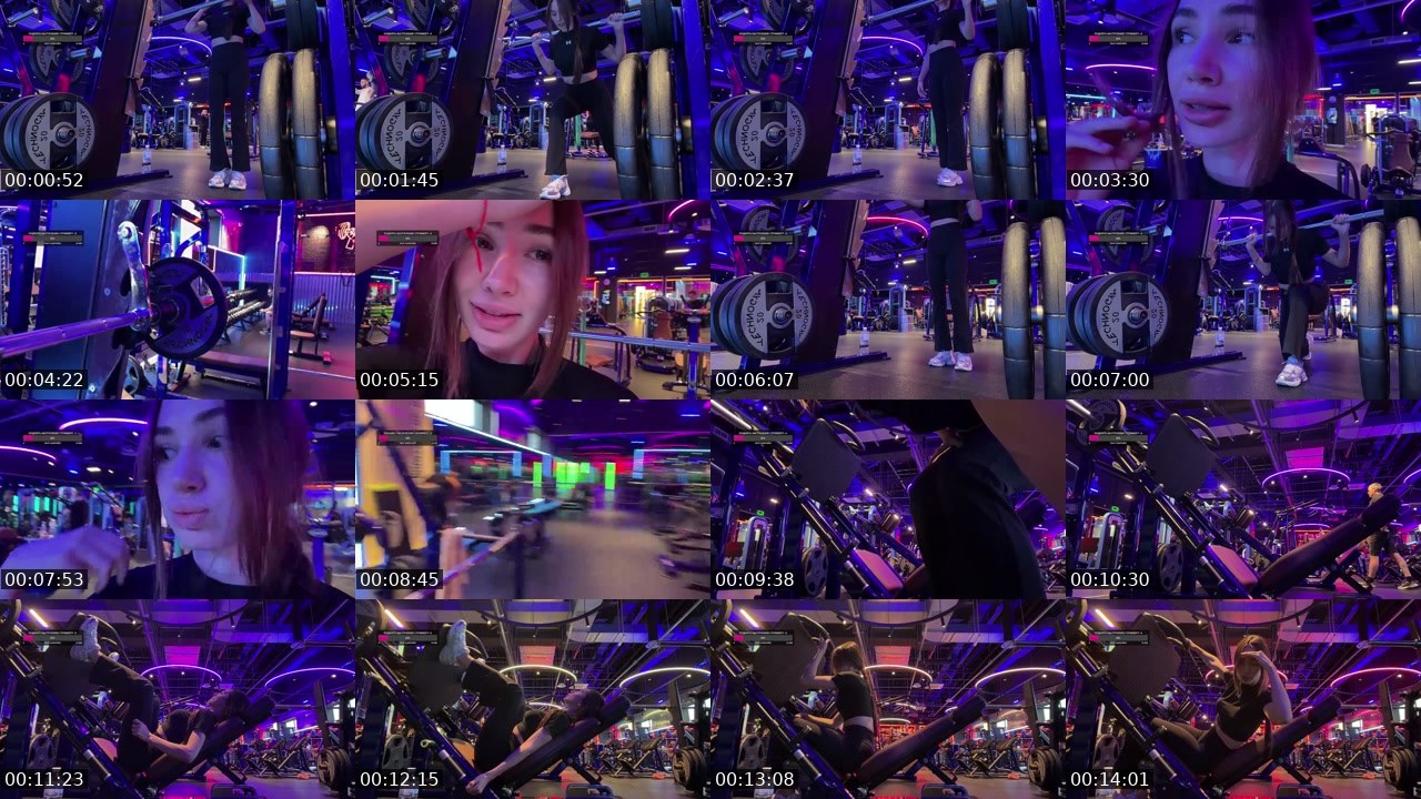 Contact-sheet preview of AlishaMalinova's Twitch recording