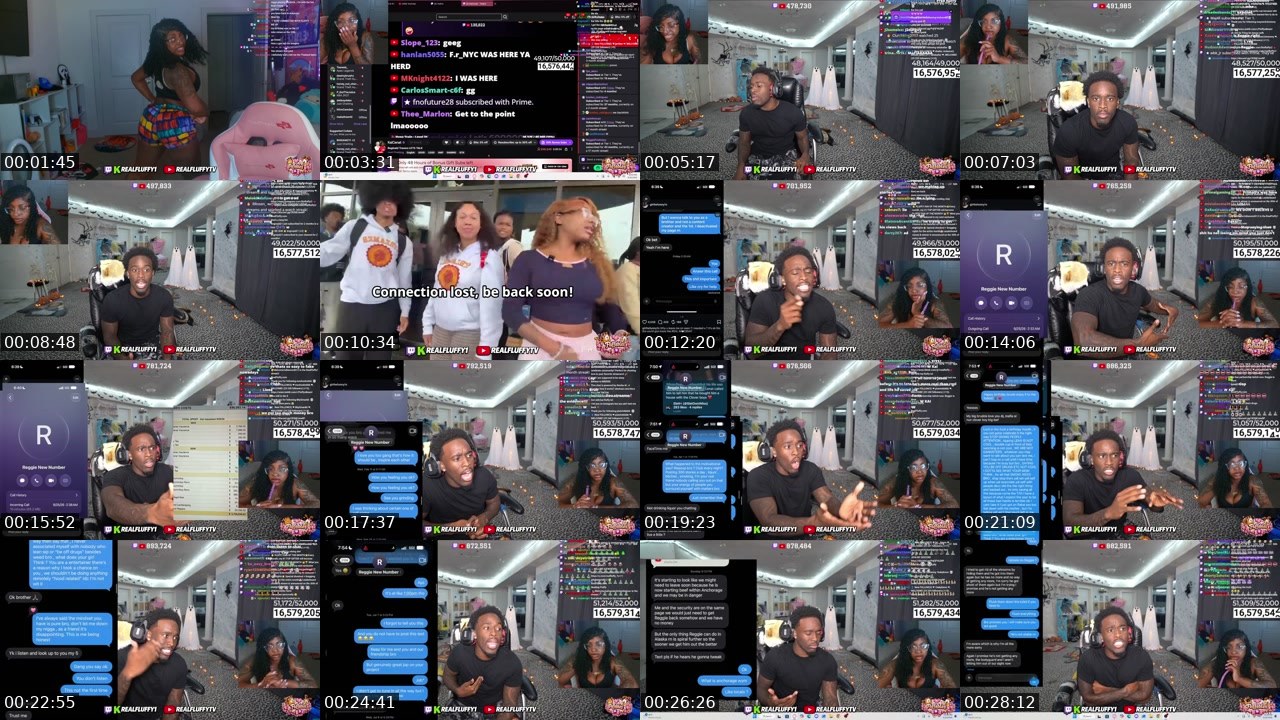 Contact-sheet preview of RealFluffy1's Twitch recording