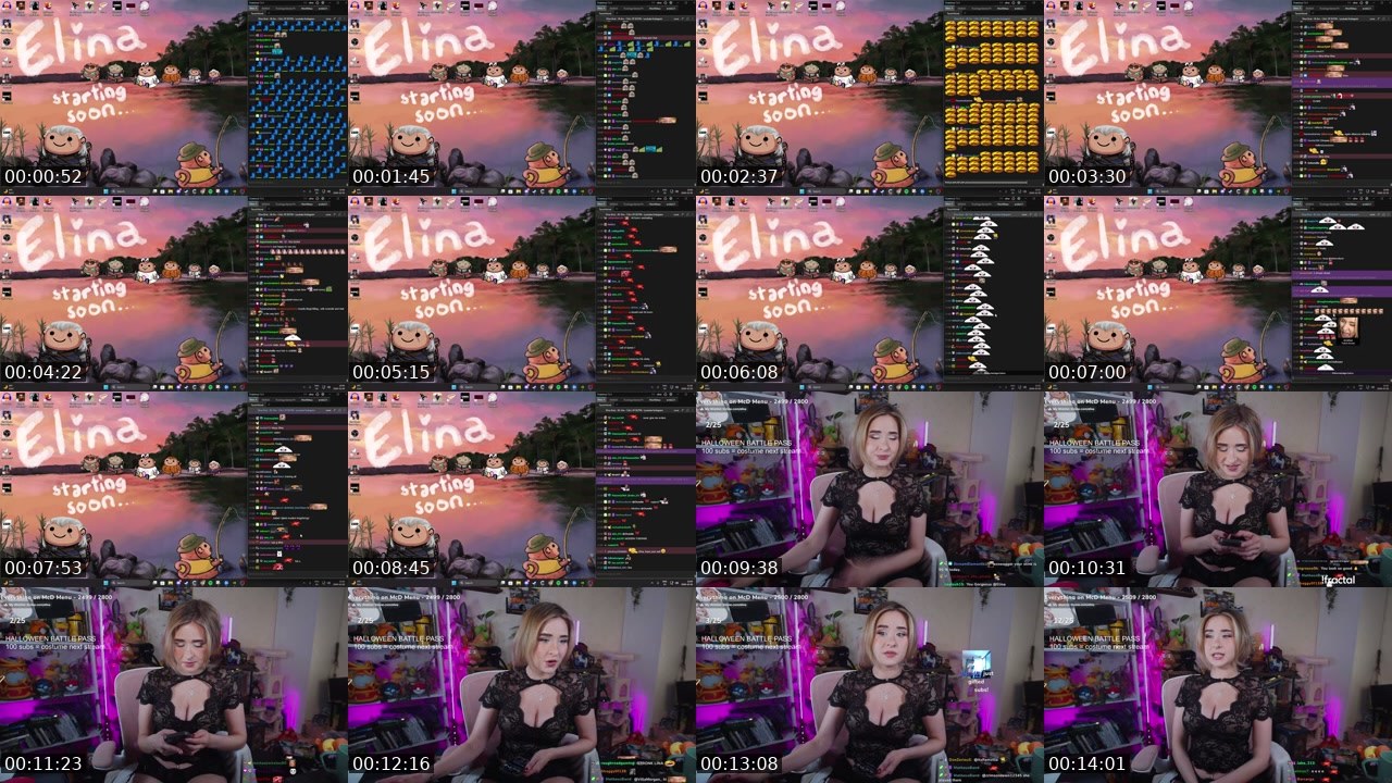 Contact-sheet preview of Elina's Twitch recording