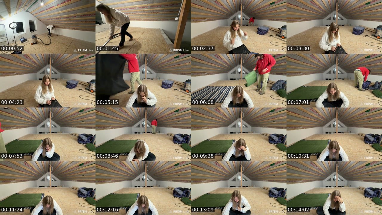 Contact-sheet preview of kris_grizliks's Twitch recording