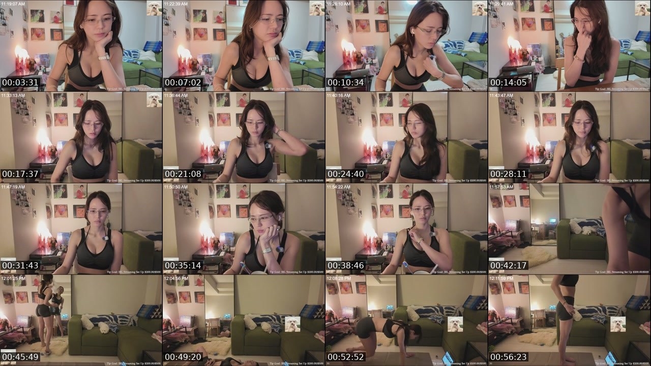 Contact-sheet preview of WithinLUXE's Twitch recording