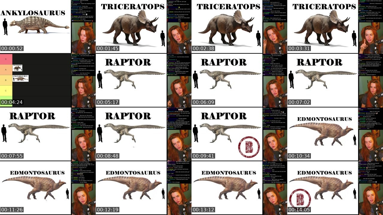 Contact-sheet preview of eels4reals's Twitch recording