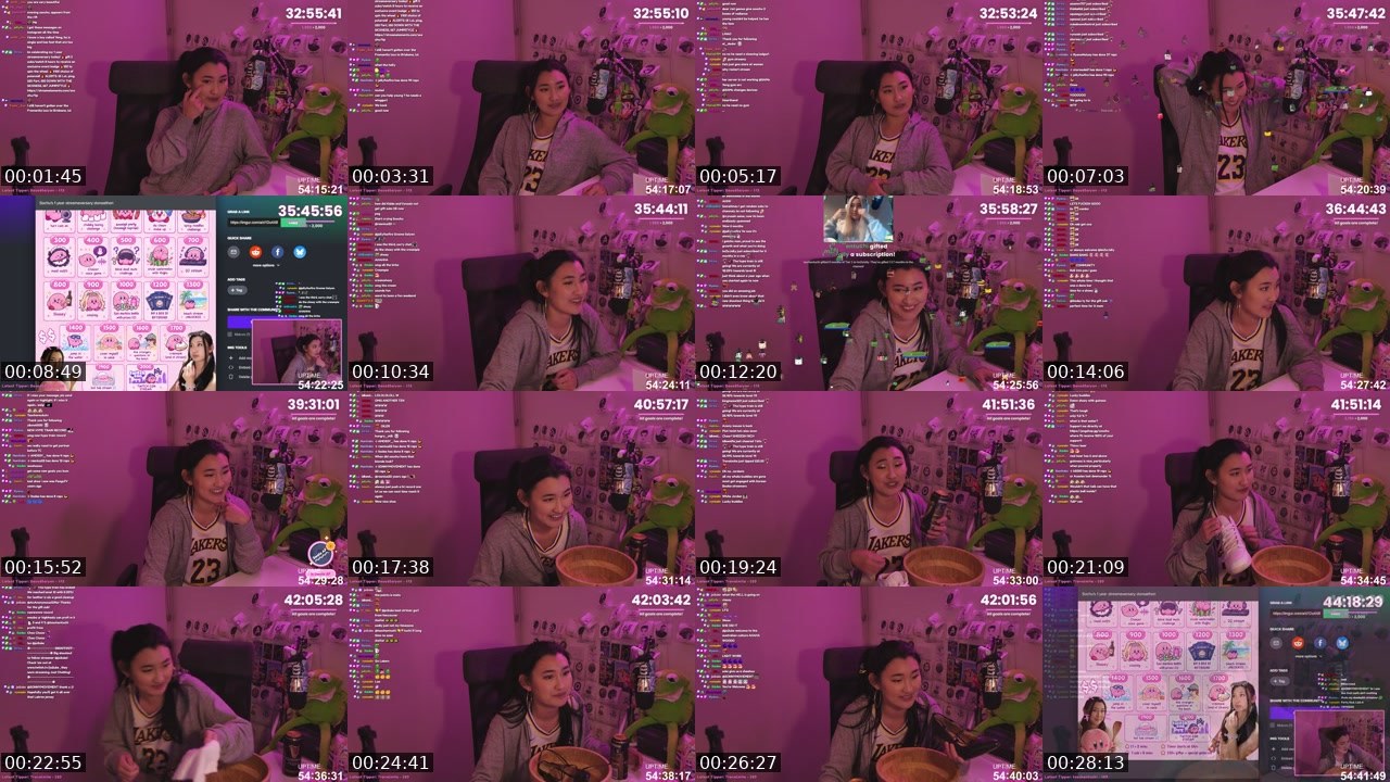 Contact-sheet preview of Soochu's Twitch recording