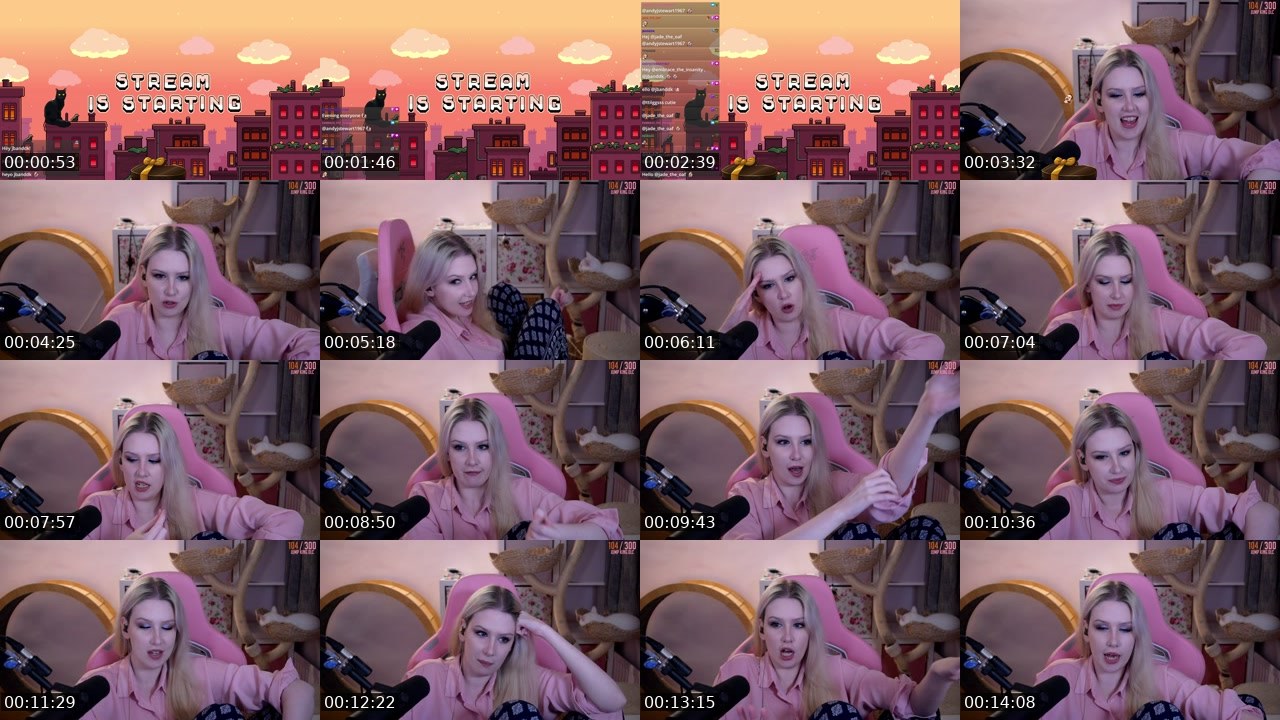 Contact-sheet preview of DomesticBliss's Twitch recording