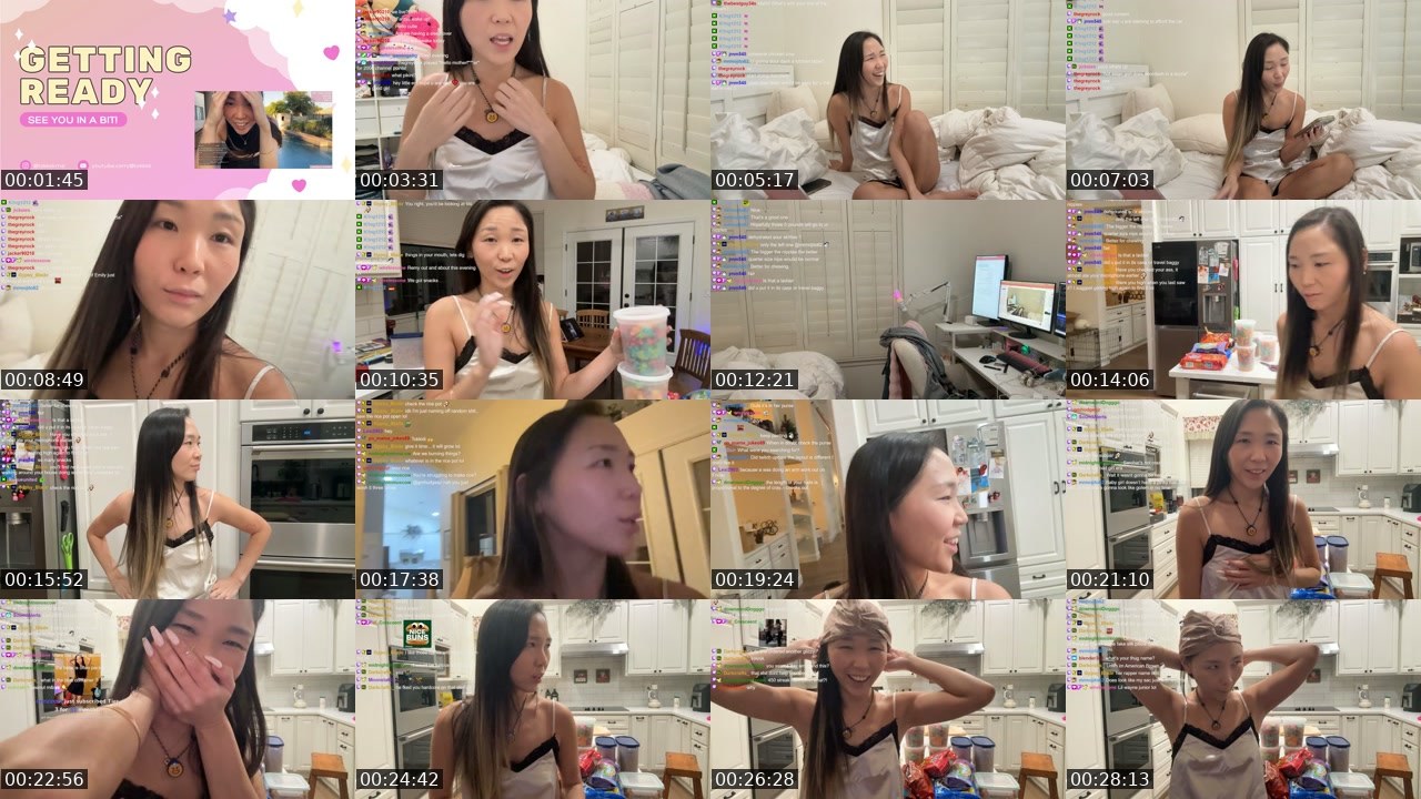 Contact-sheet preview of tokkidi's Twitch recording