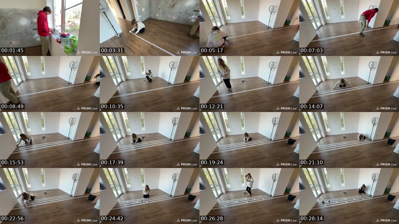 Contact-sheet preview of kris_grizliks's Twitch recording