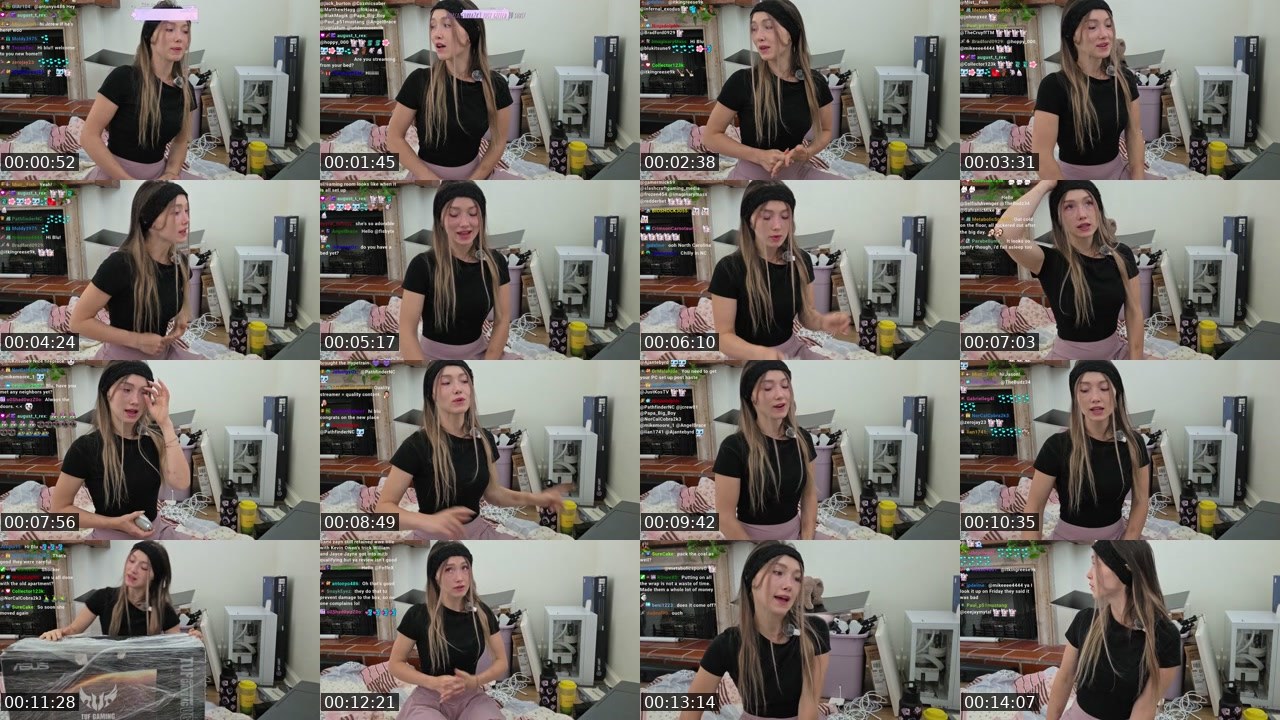 Contact-sheet preview of BluKitsune9's Twitch recording