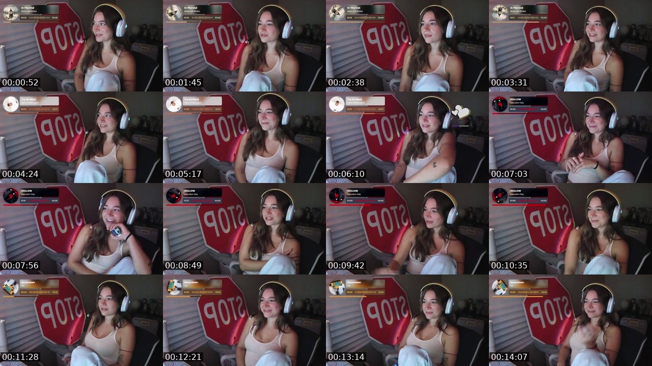 Contact-sheet preview of briiikayyy's Twitch recording