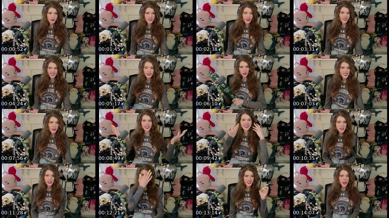 Contact-sheet preview of PMSJordan's Twitch recording
