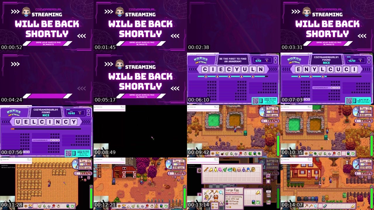 Contact-sheet preview of cozygamergurl91's Twitch recording