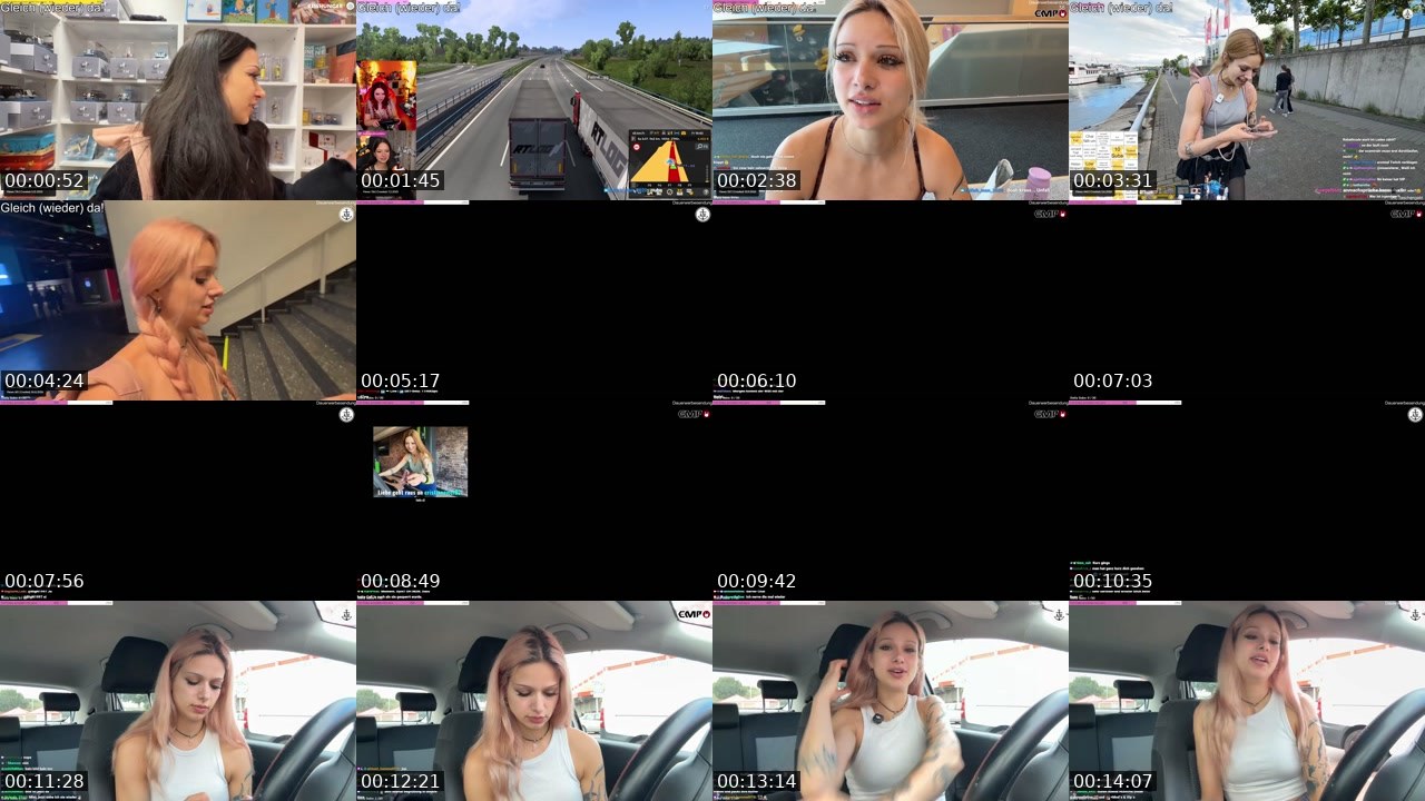 Contact-sheet preview of almostfeline's Twitch recording