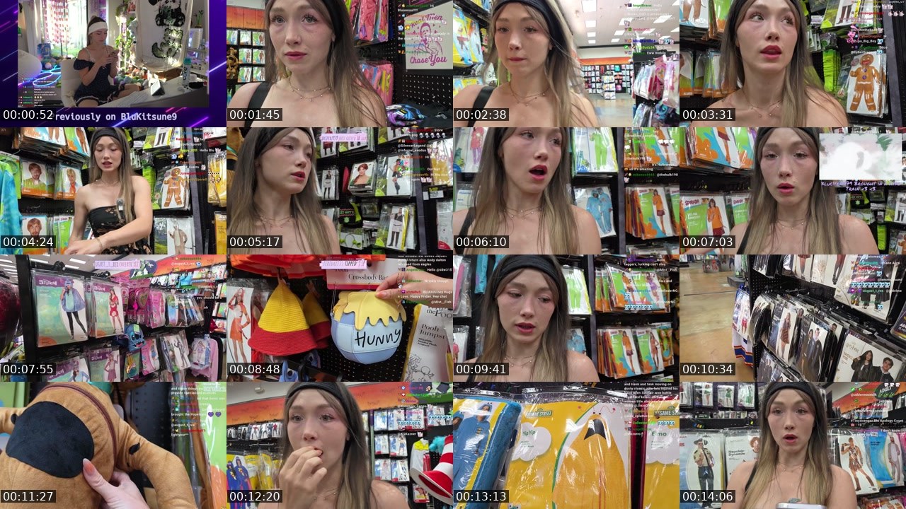 Contact-sheet preview of BluKitsune9's Twitch recording