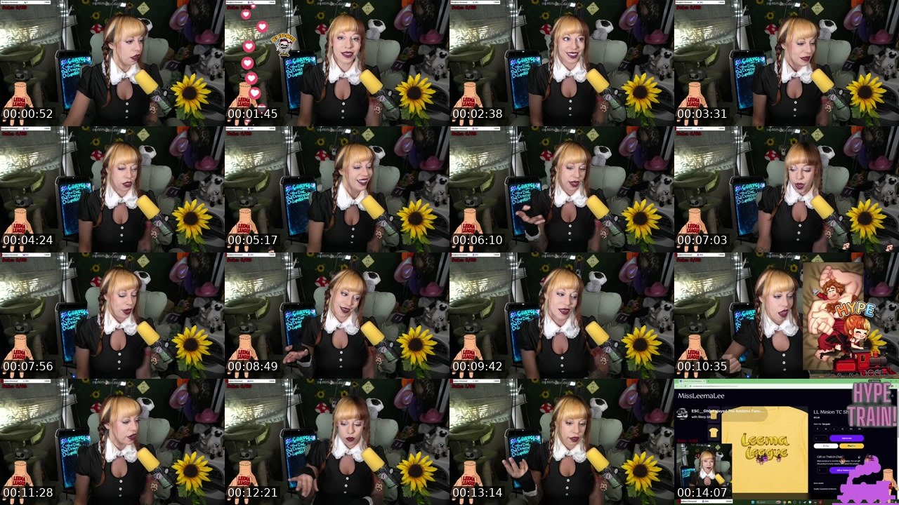 Contact-sheet preview of MissLeemaLee's Twitch recording