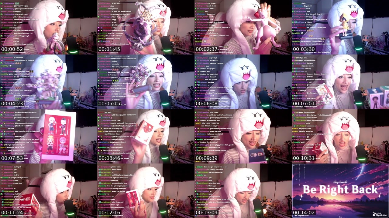 Contact-sheet preview of mysticdtn's Twitch recording