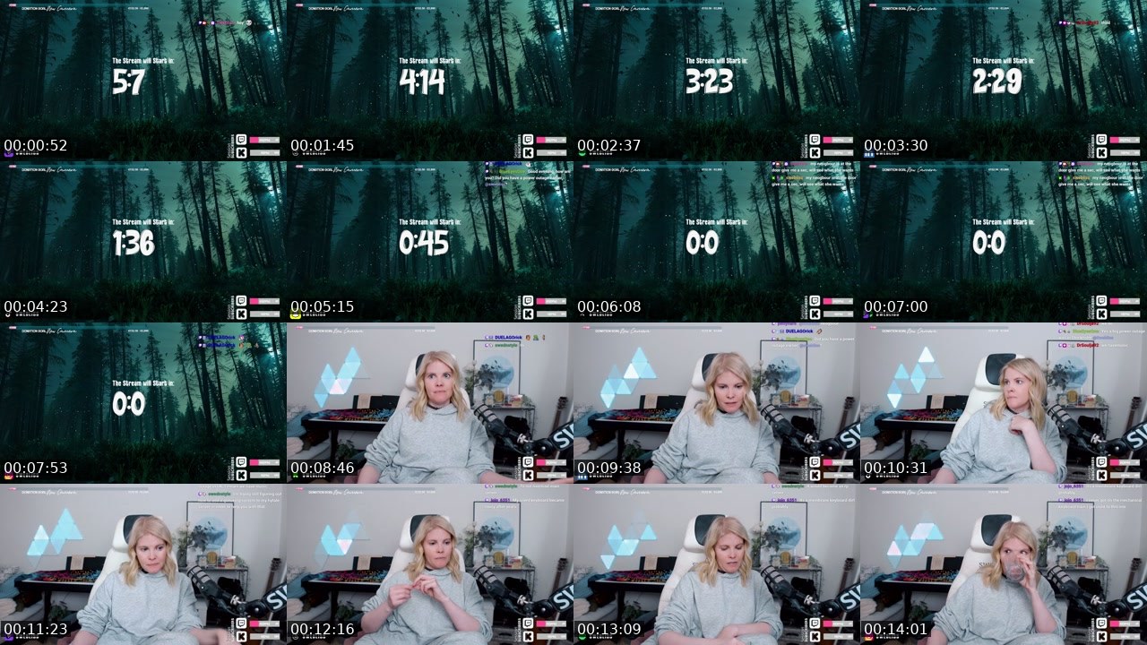 Contact-sheet preview of Swebliss's Twitch recording