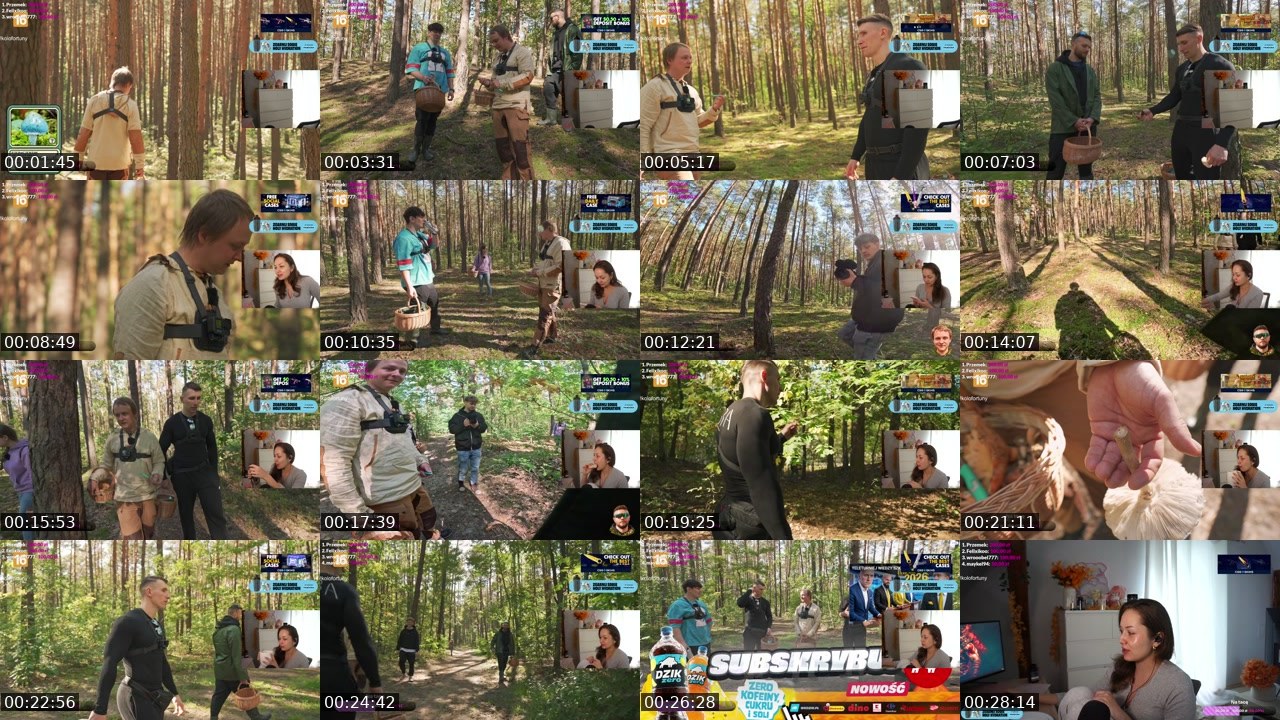 Contact-sheet preview of pandoraa99's Twitch recording